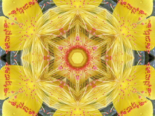 394266 (a): :2400x1800
